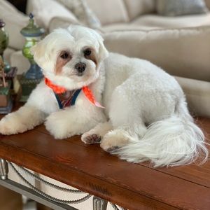 Meet your Posher, Pam